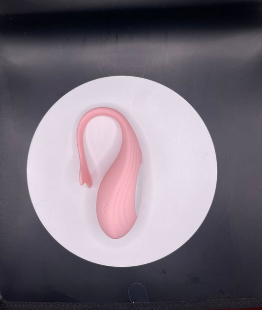 Vibrador tipo huevo